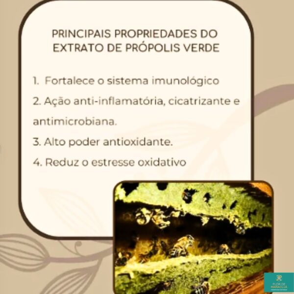 Própolis Verde - Imagem 2